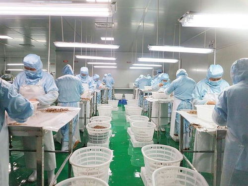 毫無人性 食品加工廠員工染上冠狀病毒,仍被強(qiáng)制要求上班